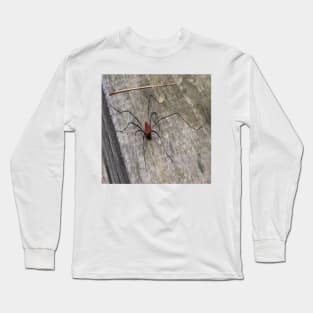 A Daddy Long Leg Spider Long Sleeve T-Shirt